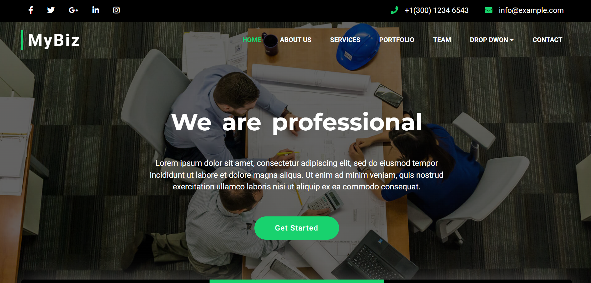 Web Design