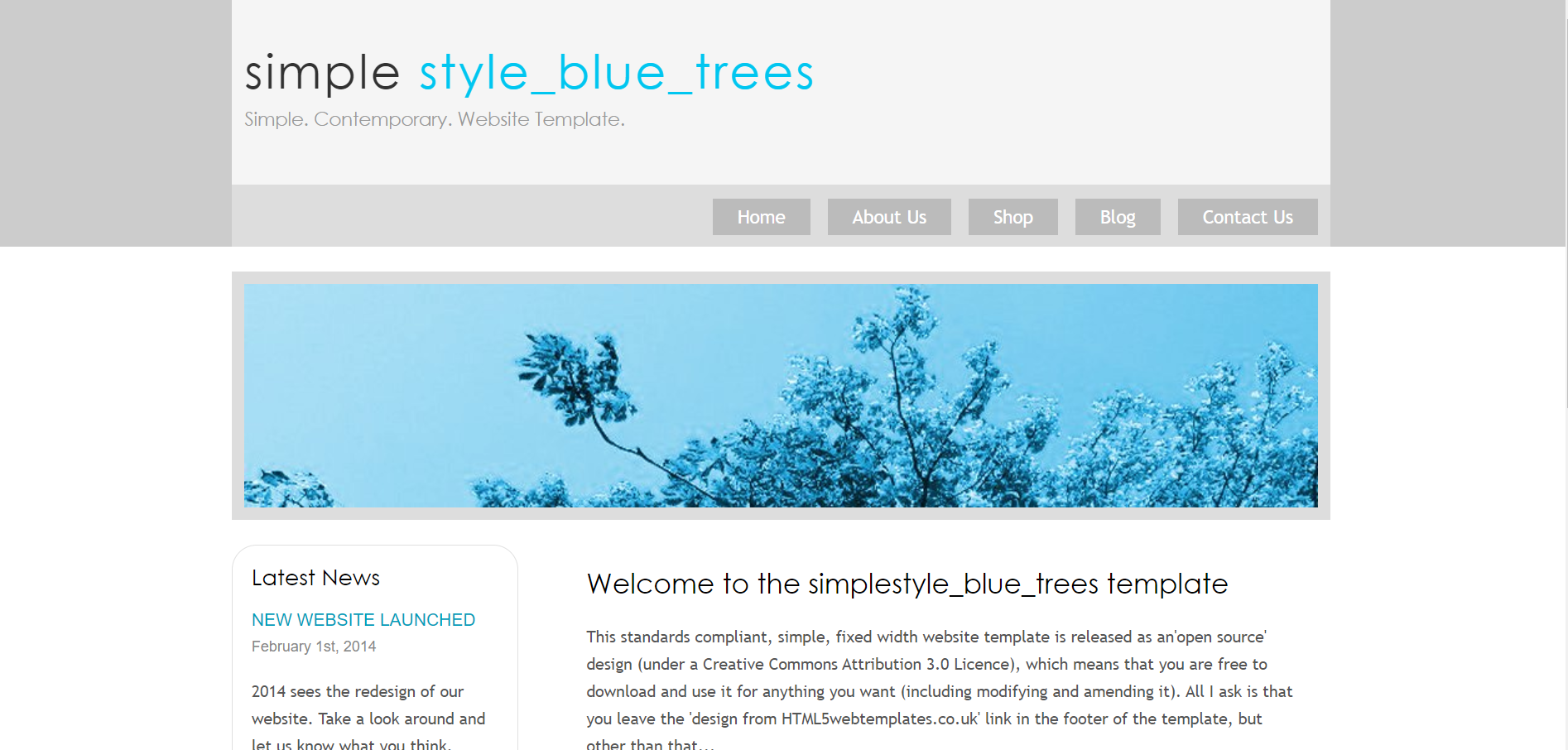 Web Design